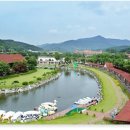 요기가거기 이미지