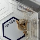 이담펫 | 애니멀 포럼 5/4~5/5 수원 후기