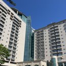 파로스모텔 | 내돈내산 아이랑 대천 한화리조트 대천 파로스 뽀로로방 장단점 후기