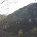 양지별밤