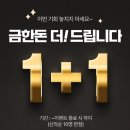 주니테크