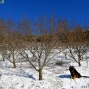 유기농장 이미지