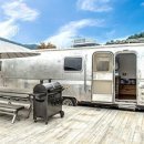 토실이네 애견 이미지