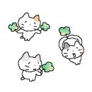 소안힐링펜션 이미지