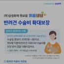 위풍댕댕 이미지