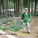 우두랜드 이미지