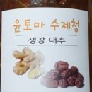 윤토마