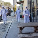 금정면사무소 이미지