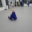 용인대 부흥 유도 체육관 이미지