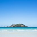 섬을찾는사람들 이미지