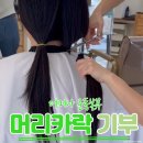 5년동안 긴 머리카락 기부, 염색·파마머리도 기부될까? 어머나운동본부 모발기부 완벽 가이드