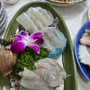 완도회집 이미지