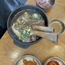 제주올레국수 이미지