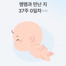 2026년 06월 3주차 (임신37주) - 잠시 쉬어갑니다 (feat. 출산)