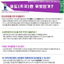 강화용인대유도관 이미지