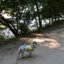 횡성호수펜션 이미지