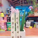세실리아꽃방 이미지