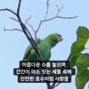 소우주 이미지