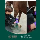 무한메디칼 이미지