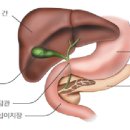 속편한내과의원 이미지