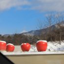 에코타운 이미지