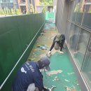 비채종합건설(주) | 안성방수시공 작업후기 공장옥상방수업체