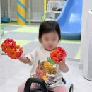 보니애키즈풀빌라 | 가평 가족 풀빌라 펜션 독채 보니애키즈 B룸