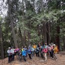 Momyer Creek Trail to Alger Creek Camp 10/10/2026 동영상 이미지