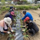 안산시농업기술센터 이미지