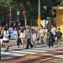 광양백운초등학교 이미지