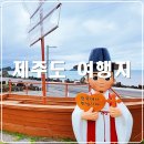 사계리 포구 사계어촌체험장 앞 도로변 | 제주도 여행지 추천 우영우 촬영지 제주 신창 풍차해안도로 드라이브 사계해안 광치기 해변