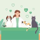 권오성동물병원 이미지