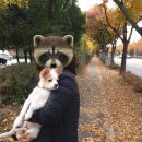 위더스 동물메디컬센터 부설 동물보호센터 | 우정이 이야기