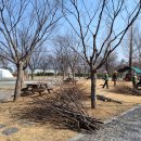 안성맞춤랜드 이미지