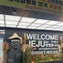 주식회사 제주현대렌트카 | 제주도 렌트카 싼곳 ‘제주현대렌트카’ 내돈내산 추천