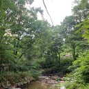 금화계곡주차장 이미지