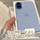 아이폰17 미스트 블루 색상 추천 한달 사용 후기 카메라 성능 skt 직영점 구매