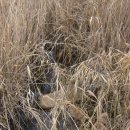 가곡면사무소 이미지