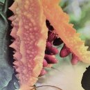 여주-0311 이미지