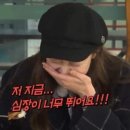 루시 ISLAND 콘서트 후기
