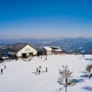 휘닉스파크 이미지