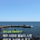 표선해수욕장(샤워장) | 남쪽 서귀포 물놀이 스팟 후기: 월평포구, 태웃개, 소금막해변, 표선해수욕장, 구두미포구, 소천지...