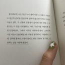써니펫시터 | June !