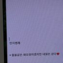 스테이 더 딜라잇 이미지