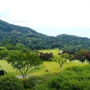 블루원용인CC 이미지