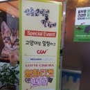 삼층고양이 이미지