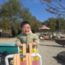 웃음꽃목장 이미지