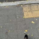 25년도 전기 영양교육대학원 지원 후기(숙명여대, 상명대, 국민대, 덕성여대)