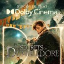 Fantastic Beasts-The Secrets of Dumbledore 이미지
