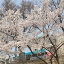 성내5교 이미지